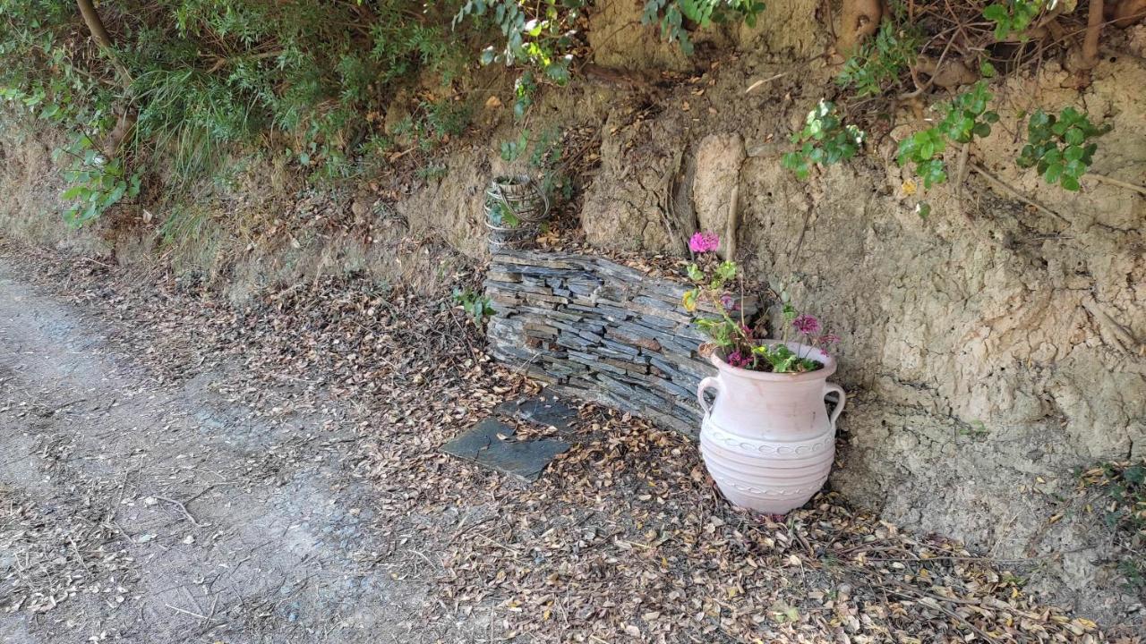 Aiolos Kalamaki  Exteriér fotografie