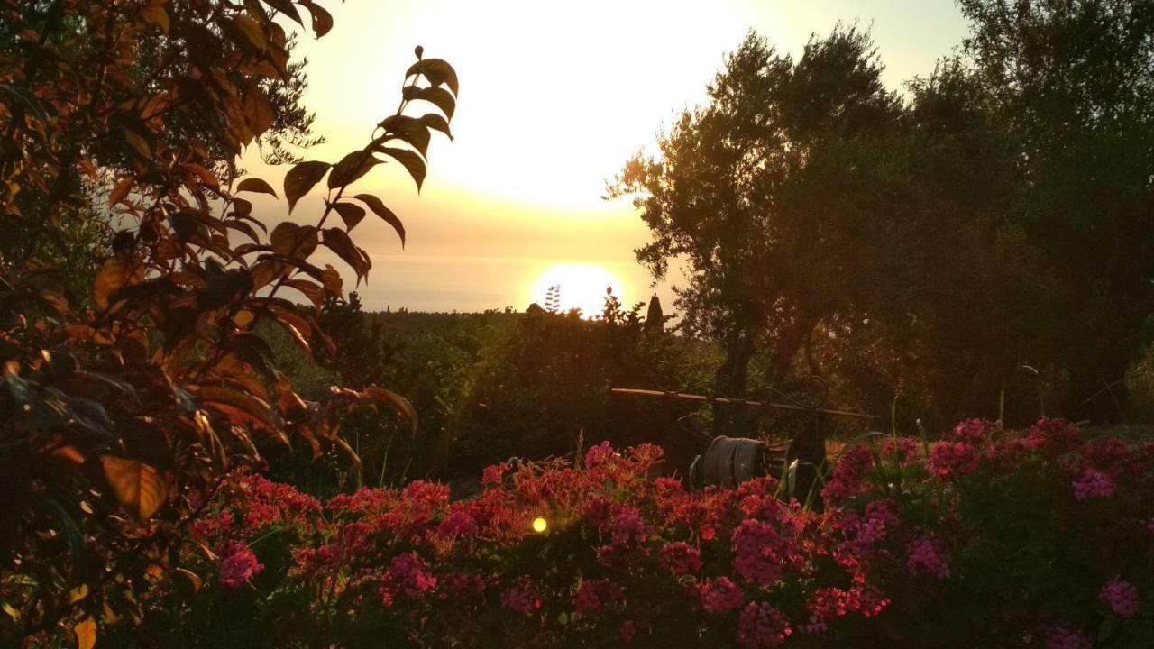 Aiolos Kalamaki  Exteriér fotografie